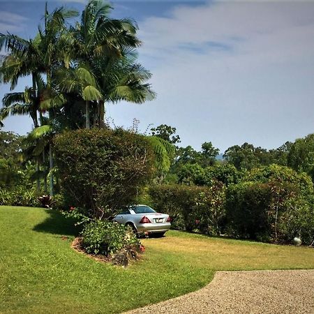 River Gum Luxury Bed And Breakfast Diddillibah エクステリア 写真